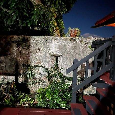 Mid-Century: Caribbean Style Lejlighed Contant  Eksteriør billede