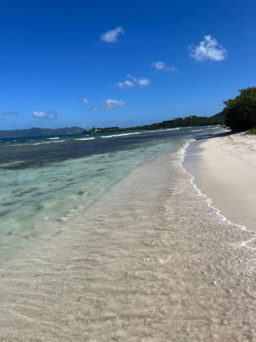 Mid-Century: Caribbean Style Lejlighed Contant  Eksteriør billede
