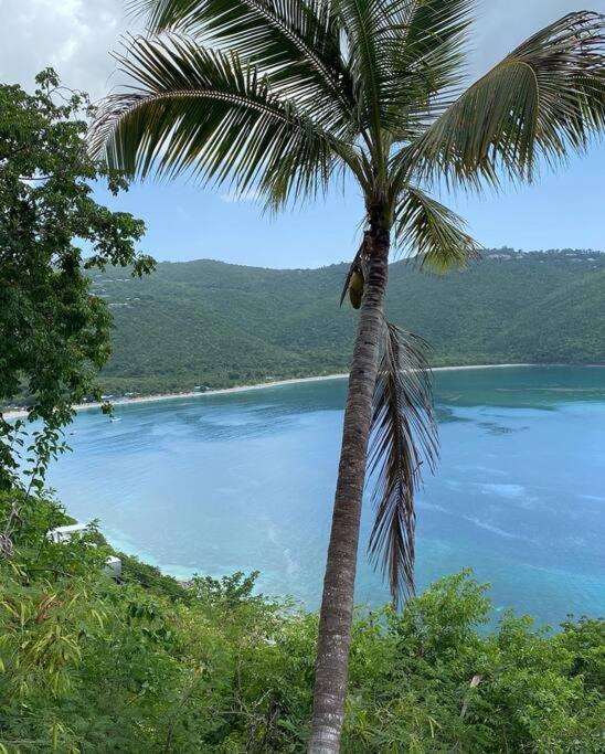 Mid-Century: Caribbean Style Lejlighed Contant  Eksteriør billede